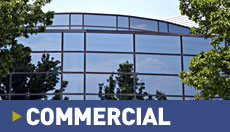 Commercial Pest Control Services